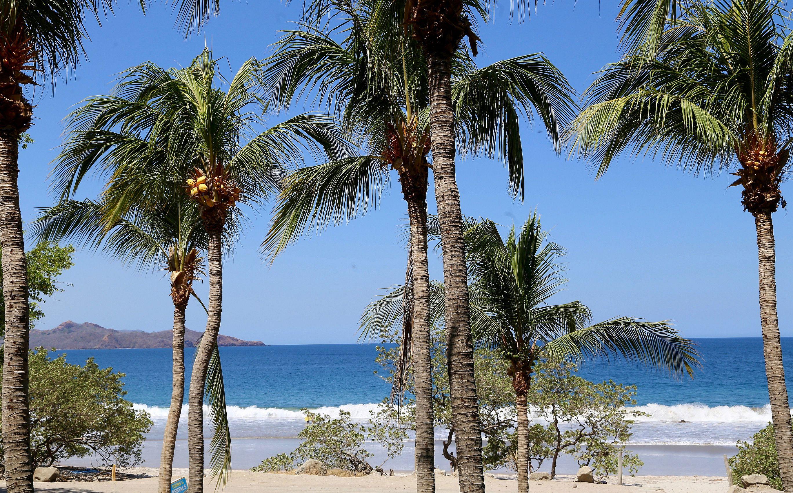 Margaritaville Beach Resort Playa Flamingo Εξωτερικό φωτογραφία