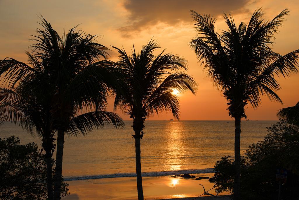 Margaritaville Beach Resort Playa Flamingo Εξωτερικό φωτογραφία